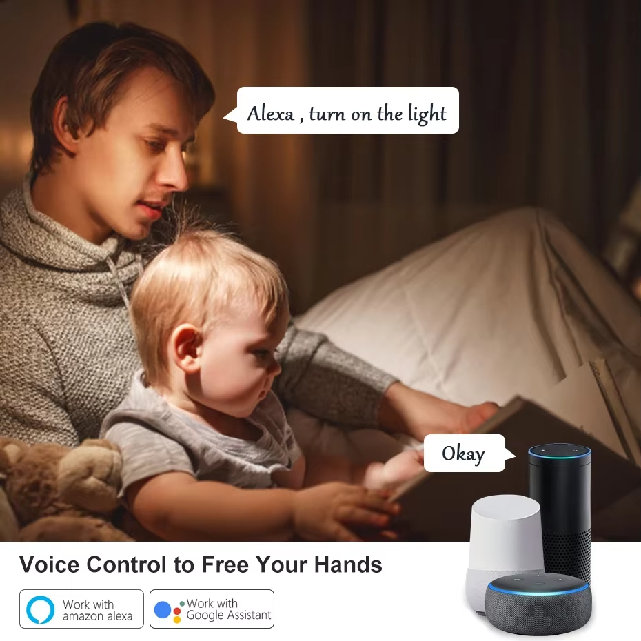 ใช้งานร่วมกับทูย่า ไวไฟสวิตช์ไ - Sonoff Basic Switch บทวิจารณ์และราคา